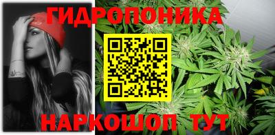 дмт Кингисепп