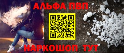 дмт Кингисепп