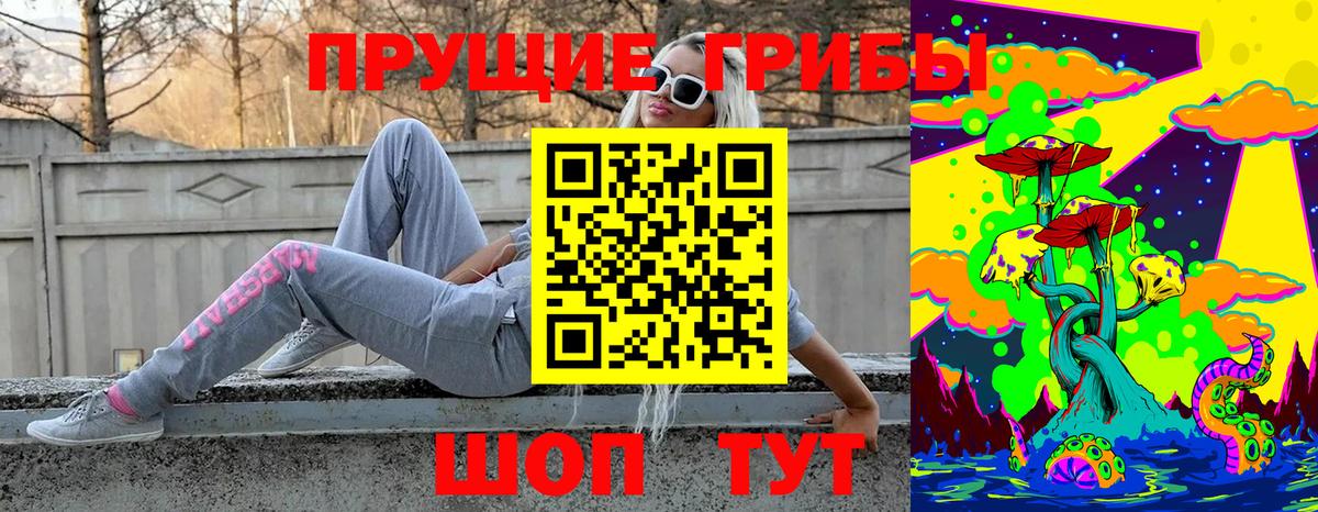 Псилоцибиновые грибы Cubensis Кимры